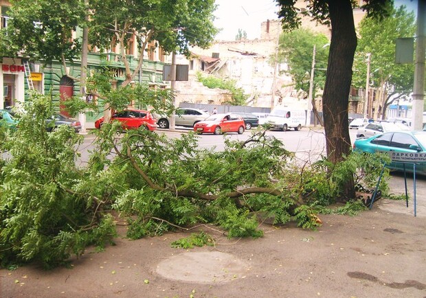 Непогода нанесла городу серьезный ущерб. Фото-mutro.ru