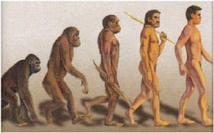 По Дарвину, человек эволюционирует, но глупости совершать продолжает. Фото с сайта: e-parta.ru