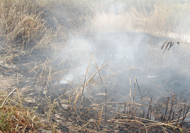 Жители поселка Котовского уже неделю травятся дымом.
Фото - облМЧС.