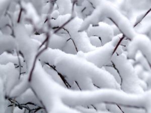 Одессе обещают похолодание и снег. Фото-kafanews.com