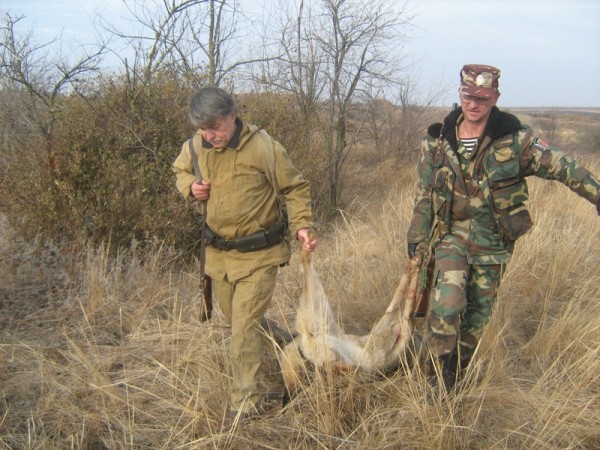 Одесски гайдамаки застрелили животное.
Фото - 048.ua.