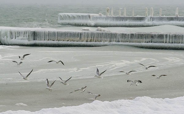 Синоптики обещают скорое потепление, пока же морозы не отступают.
Фото - Апполинария Грушева, vk.com