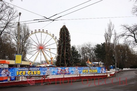 Новость - События - Фотофакт: В Одессе до сих пор стоит нарядно убранная главная новогодняя елка области