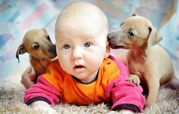 За пол года в городе родились 5 тысяч 437 детишек. Фото - liveinternet.ru