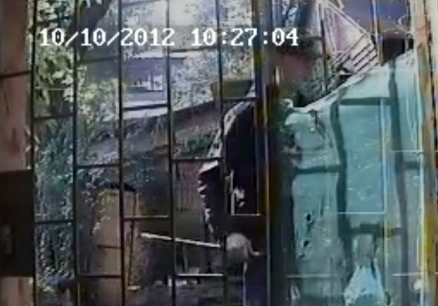Одесский вор засветился на видео. Фото - скриншот.