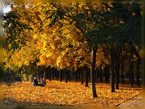 Золотая осень продолжается. Фото - fotki.yandex.ru.