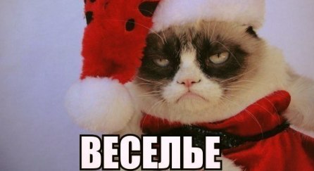 Лучшие новогодние мемы. Фото - vk.com