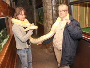 Не такие уж они и страшные, эти змеи. Фото: КП