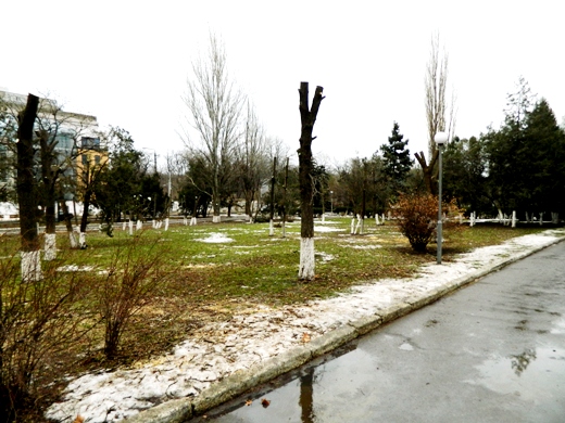 В одесской Аркадии уничтожили несколько десятков деревьев. Фото - odessa.ua