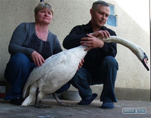 Владимир и Наталья хотели отдать находку в Одесский зоопарк или Уманский дендропарк. Фото: сайт trassae95.com