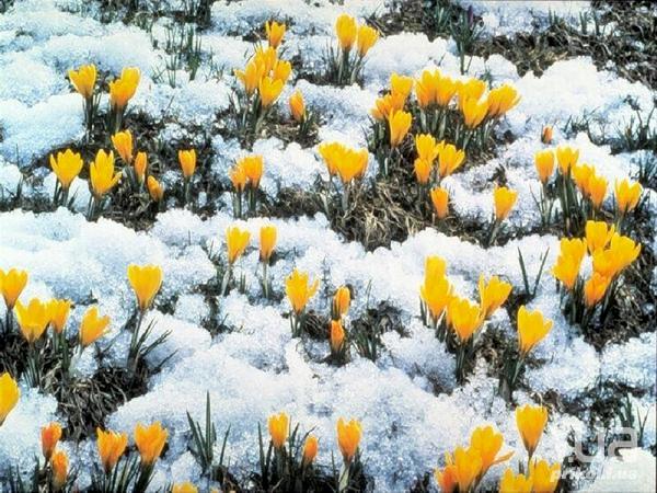 Весна будет долго прорываться. Фото с сайта: tragos.ru.