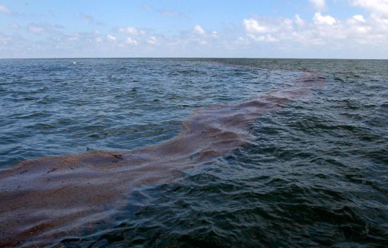 В Черном море растет нефтяное пятно. Фото - irrsochi.ru