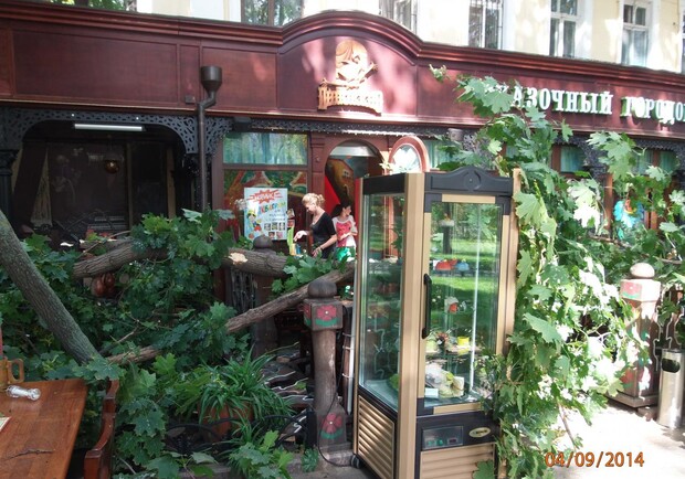 Ветка повредила мебель ресторана. Фото - Доктор Менгеле "Одесский форум". 