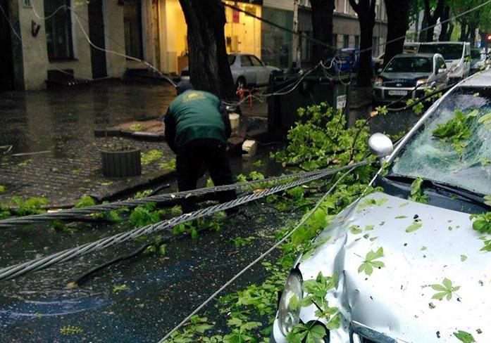 Из-за погоды в Одессе падают ветки на машины. Фото: 7 канал