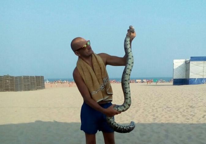 Новость - События - На пляже в Затоке нашли двухметровую змею