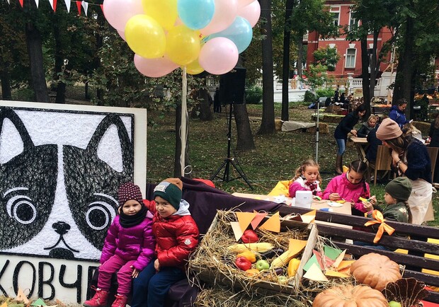 Новость - События - В Одессе прошел мини-фестиваль помощи бездомным животным