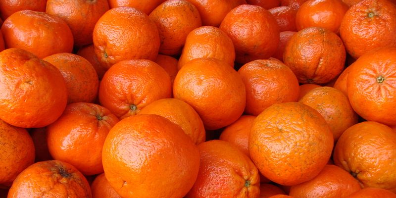 В Одессу пытались завести зараженные мандарины из Турции - 28 тонн