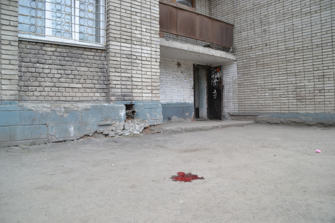 Новость - События - Не люди, а звери: в Одессе женщина выбросила из окна девятого этажа собаку и кошку