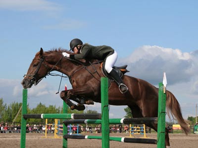 Афиша - Спорт - Верховая езда