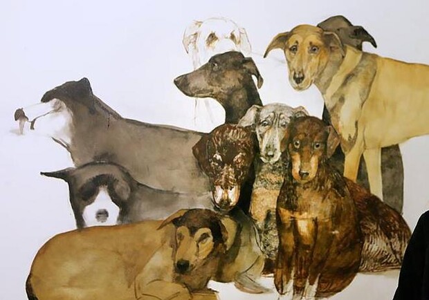 Афиша - Выставки - Dog-art Ozi