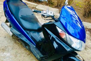 В Одесской области поймали еще семь мародеров фото 1