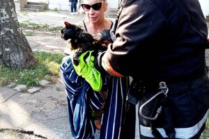 Пожары в ресторане и жилом доме: как прошли сутки у спасателей в Одессе фото 12