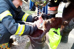 Пожары в ресторане и жилом доме: как прошли сутки у спасателей в Одессе фото 25