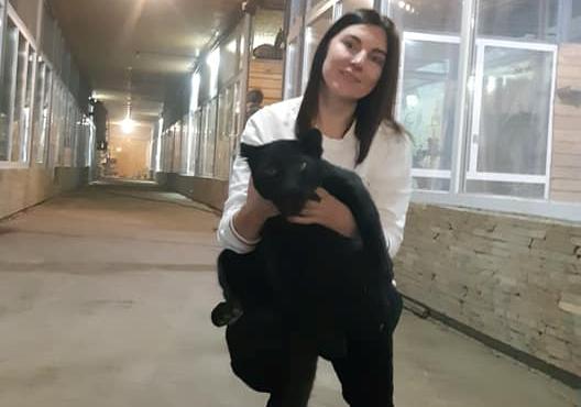 Как вырос: пантеренок Эшли из экопарка уже весит 12 кг