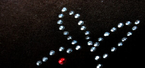 Playboy party: над гостями вечеринки поиздевались столичные журналисты