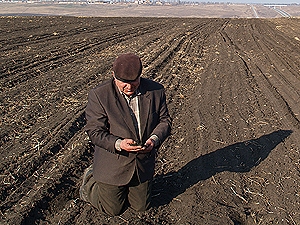 В Украине землю можно будет продавать через год