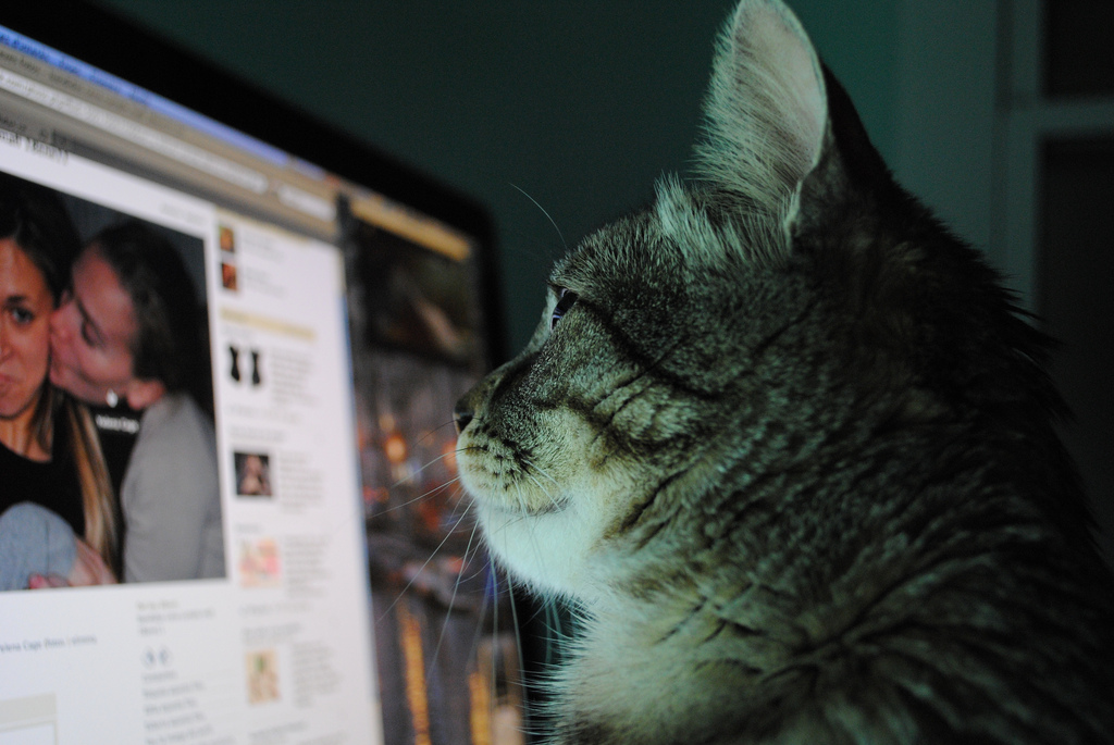 Как не подхватить: пользователи Facebook массово рассылают новый спам-вирус