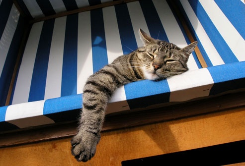 Куда поехать в Днепре, если все осточертело и хочется отдохнуть