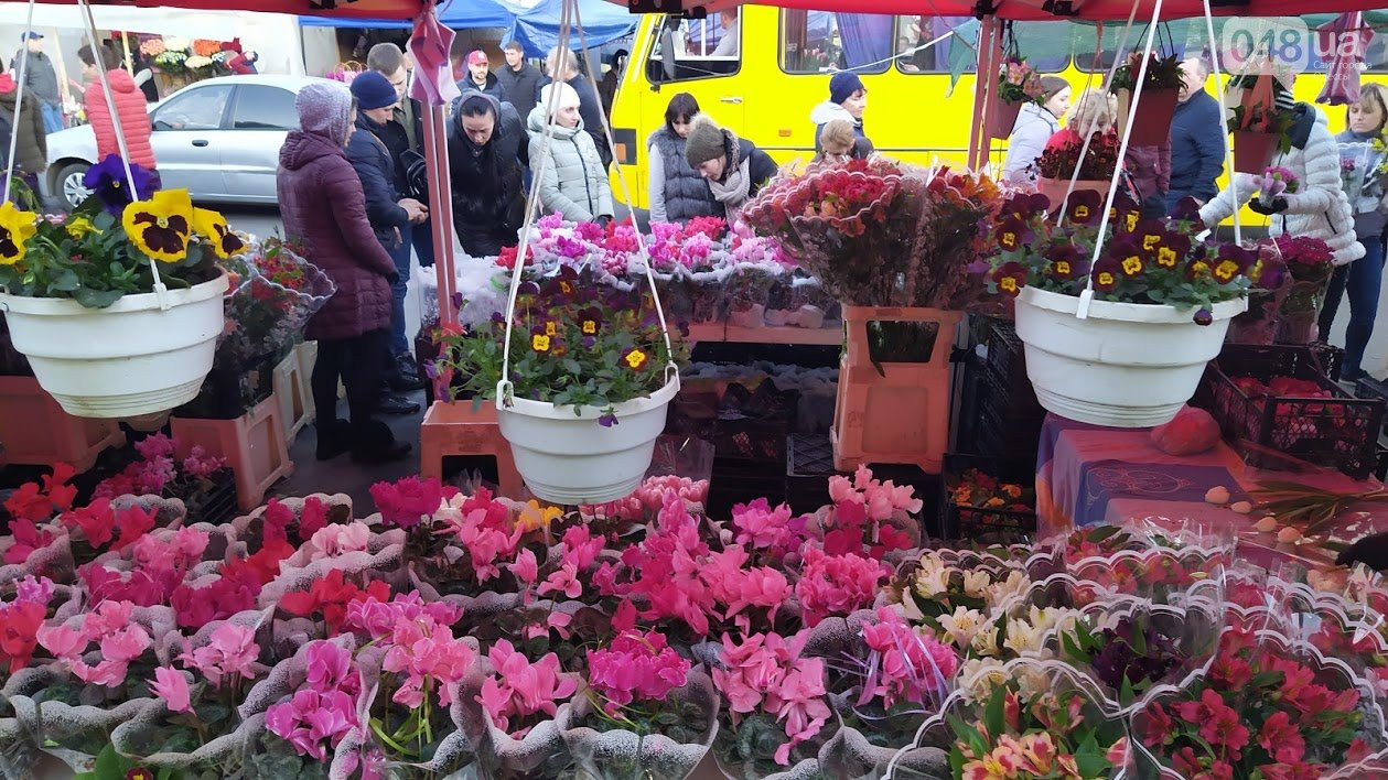 Почем цветы на Привозе к 8 марта. Фото: 048