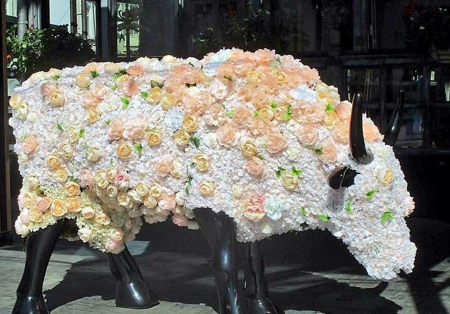 Одесская корова Рамина переоделась к весне. Фото Одесской жизни