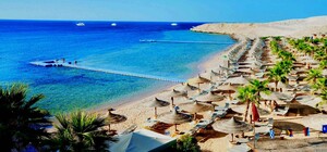 Больше половины украинских туристов вернули из Египта