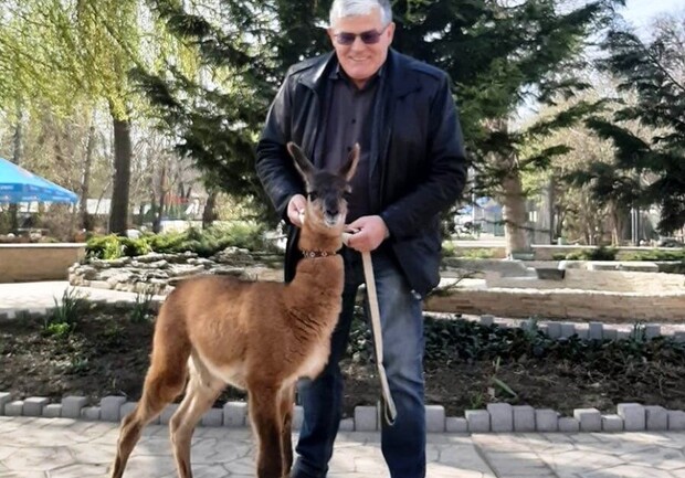Подрастет в тишине: в Одесском зоопарке появился новый обитатель фото