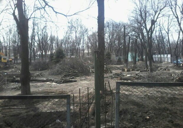 Застройка склонов: на территории одесского лагеря вырубают деревья фото