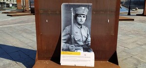 Думали на вандалов: в центре Киева ветер разрушил фотовыставку