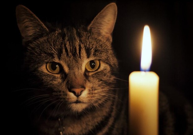 Купи фонарик: кто завтра останется без света в Одессе фото