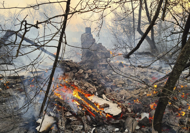 Пожар в Чернобыльском лесу: на пятый день огонь добирается до жилых домой фото