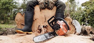 300 миллионов ущерба: 