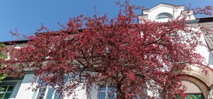 Одягни маску: МОЗ роз’яснило поняття «громадське місце»