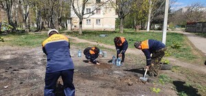 Украсили район: на Таирова вместо свалки высадили деревья