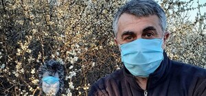 Не в спирте и не в микроволновке: доктор Комаровский рассказал, как дезинфицировать маски