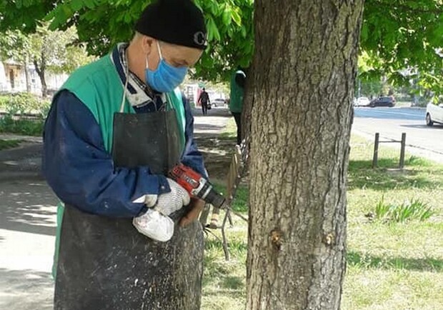 Включение фонтанов и прививки деревьям: в Одессе готовятся к лету фото