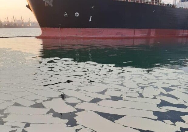 Под Одессой в море сбросили тонны пальмового масла фото