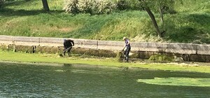 Дюковский парк в Одессе станет приятней: коммунальщики приступили к уборке 