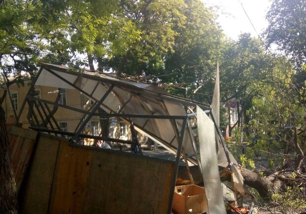 В Одессе дерево рухнуло прямо на прилавок, где продавались овощи. Фото: УСИ