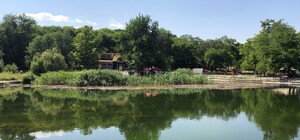 Гостиница, ТРЦ и трехэтажная парковка: что должно появиться на месте Дюковского парка