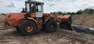 Губернатор давал всего неделю: на Полтавщине уже месяц не могут утилизировать 600 тыс мертвых кур